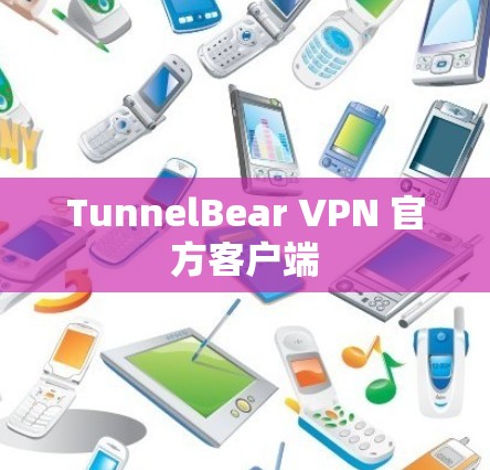 TunnelBear VPN 官方客户端