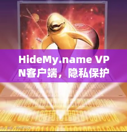 HideMy.name VPN客户端,隐私保护与高效网络连接的完美结合