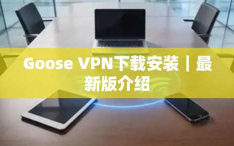 Goose VPN下载安装|最新版介绍