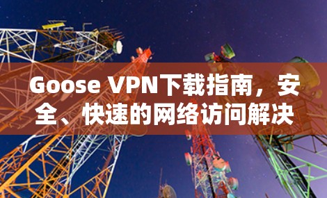 Goose VPN下载指南，安全、快速的网络访问解决方案