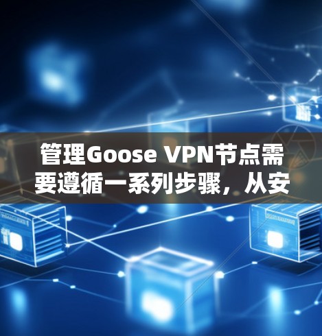 管理Goose VPN节点需要遵循一系列步骤，从安装到配置、维护再到故障排除，每一步都至关重要。以下是详细的步骤指南