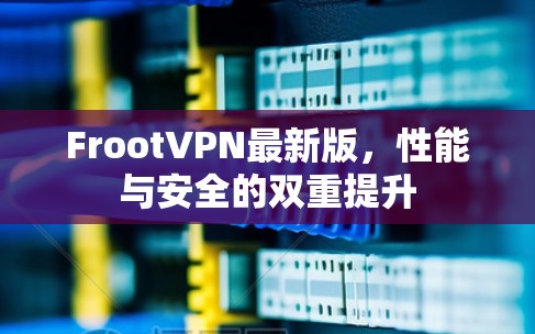 FrootVPN最新版,性能与安全的双重提升