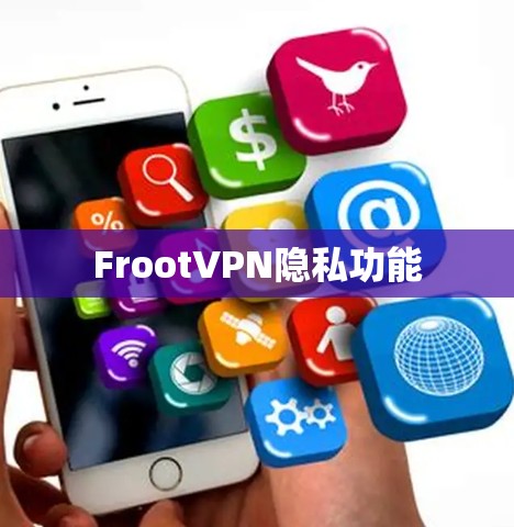 FrootVPN隐私功能