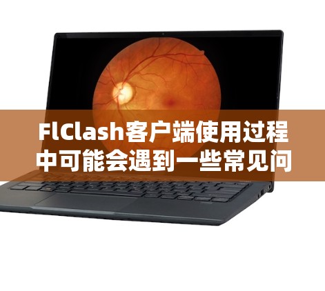 FlClash客户端使用过程中可能会遇到一些常见问题，以下是针对这些问题的详细解决方案