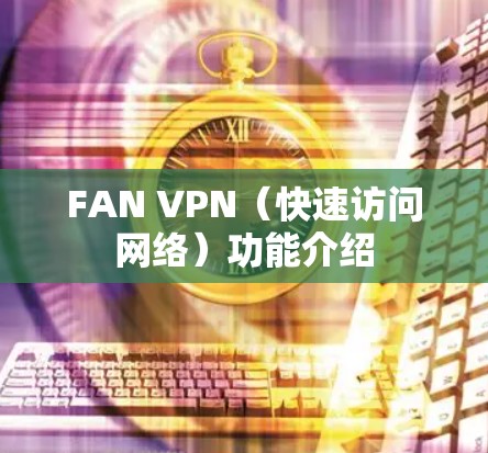 FAN VPN（快速访问网络）功能介绍