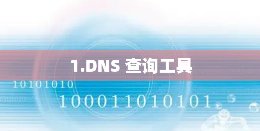 1.DNS 查询工具