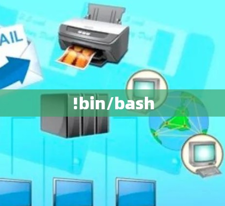 !bin/bash