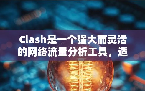 Clash是一个强大而灵活的网络流量分析工具，适合需要深入分析网络流量的用户。以下是使用Clash进行网络节点管理的分步指南