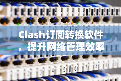 Clash订阅转换软件，提升网络管理效率的秘密武器
