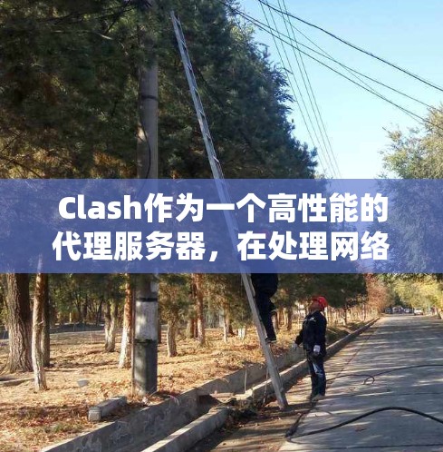 Clash作为一个高性能的代理服务器，在处理网络流量和应用请求方面表现优异。为了全面评估Clash的性能，以下是一些关键的性能测试方法和建议