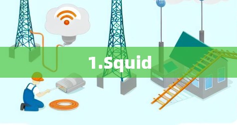 1.Squid